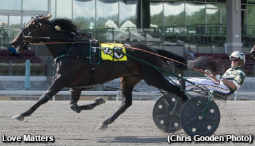 Stakes Sweep For Takter & Gingras
