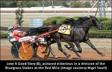 Filly Could Be ‘Crown’ Bound  Filly Could Be ‘Crown’ Bound