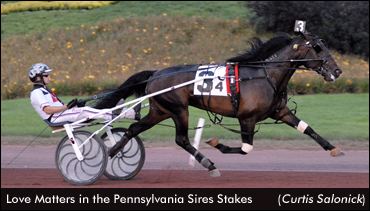 Undefeated Love Matters Wins Again