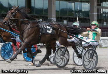 Stallion Series Score For 'Lucky'