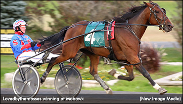 Grassroots Wrap For Sophomore Trotting Colts