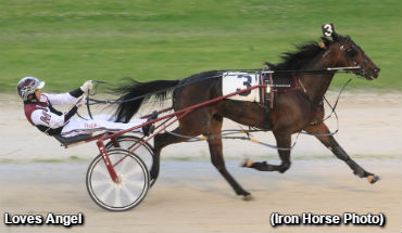 Fillies Flaunt It In Grassroots