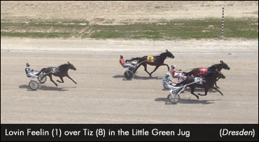 Lovin Feelin Wins Little Green Jug