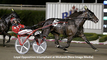 Loyal Opposition Appeal Denied