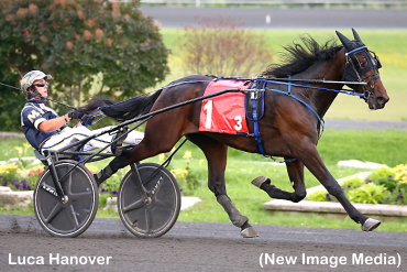 Luca Hanover Still Perfect