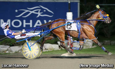 Lucan Hanover Solid In Summertime Lucan Hanover Solid In Summertime