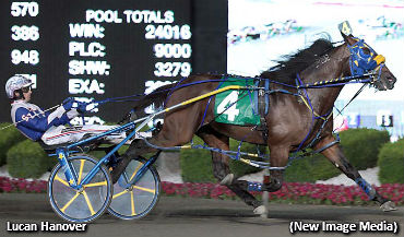 Summertime Sweep For Lucan Hanover