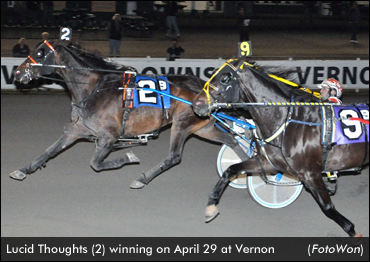Lucid Thoughts Prevails In Open Trot
