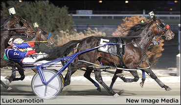 Luckcamotion Shocks In The Count B; Smashbox In Ontario Girls