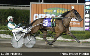 More Two-Year-Olds At Mohawk