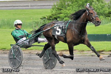 Trotting Fillies Impress At Monticello Trotting Fillies Impress At Monticello