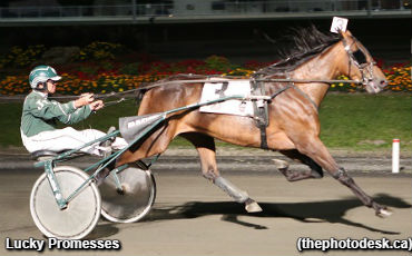 Nine Straight For Lucky Promesses