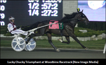 Lucky Chucky Added To Auction