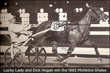 Camluck Dam Lucky Lady Euthanized