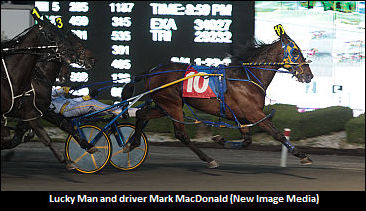 Lucky Man, Aracache Hanover Tussle 