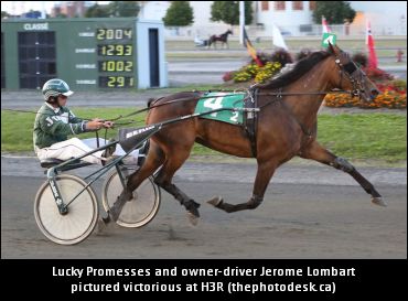 Mare Looking For Ninth Straight Win