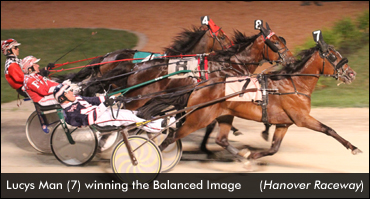 Lucys Man Wins Balanced Image Trot