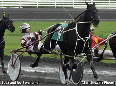 Bongiorno’s Star Is Rising