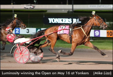 Luminosity Repeats In Yonkers Open