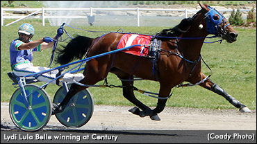 Lydi Lula Belle Best At Century