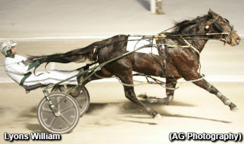 Alliance Romp For Lyons William 