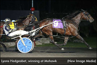 Lyons Hedgeabet Takes Niagara Sequel