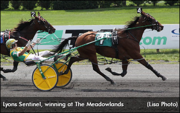 Lyons Sentinel, Venerable Tighten