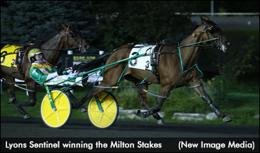 King Hopes ‘Lyons’ Continue To Roar