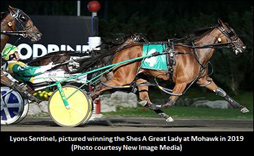 'Sentinel' Seeking Jugette Upset