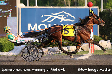 Lyonssomewhere To Stand Stud