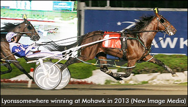 Unbeaten Colt Steps Up