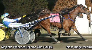 Upset City For Majestic Presence 