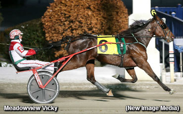 Autumn Series Prelims Completed