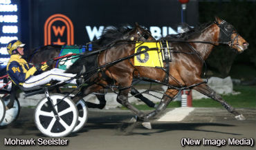 Mohawk Seelster Scores Again