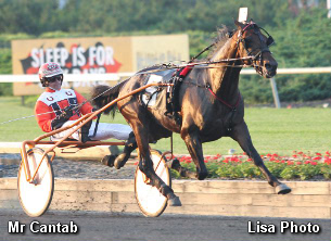 Mr Cantab Impressive In New Jersey