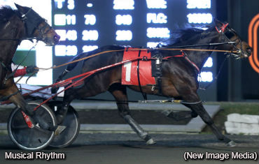 Musical Rhythm Wins; Mayotte To Hospital