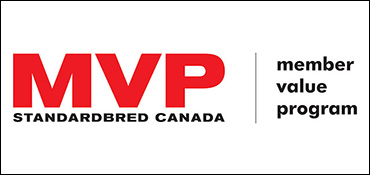 Answers To 'MVP' Questions