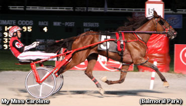 Trotters Star In Balmoral Stakes