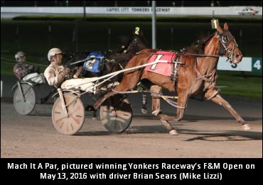 Ontario Sired Mare Impressing