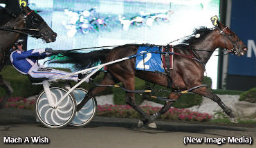 Golden Moment For Mach A Wish