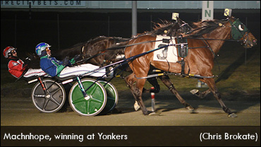 Machnhope Seeks Matchmaker Success