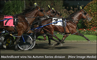 Autumn Series Mania At Woodbine