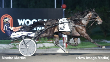 Trotting Rookies Spar At Mohawk Park