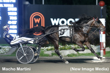 Undefeated Colts Remain Perfect