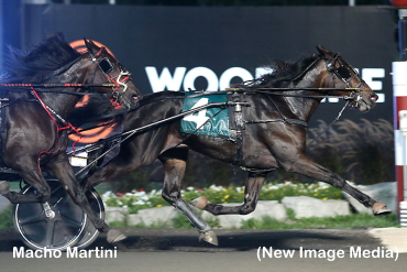 Champlain Triple For Team Determination