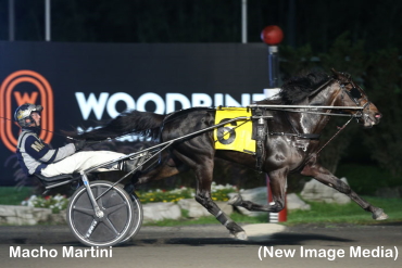 Top Trotters Impress On Big Stage