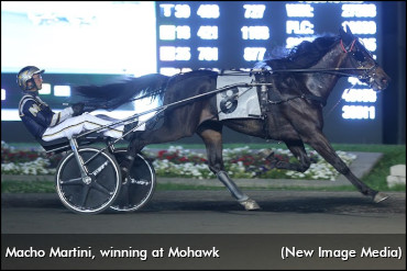 Macho Martini Emerges Victorious