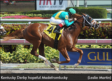 A Thoroughbred To Cheer For 