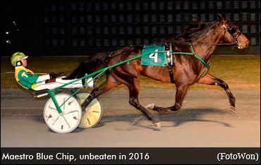 Trotter's Big Horseshoes To Fill