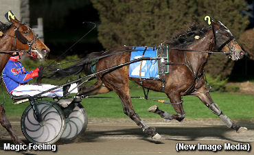 Celias Counsel To Magic Feeling